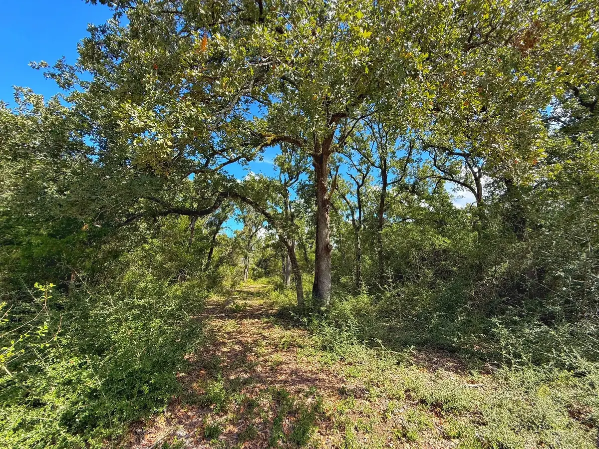 3803 Pr 4100, Marquez, TX 77865 - Image #1