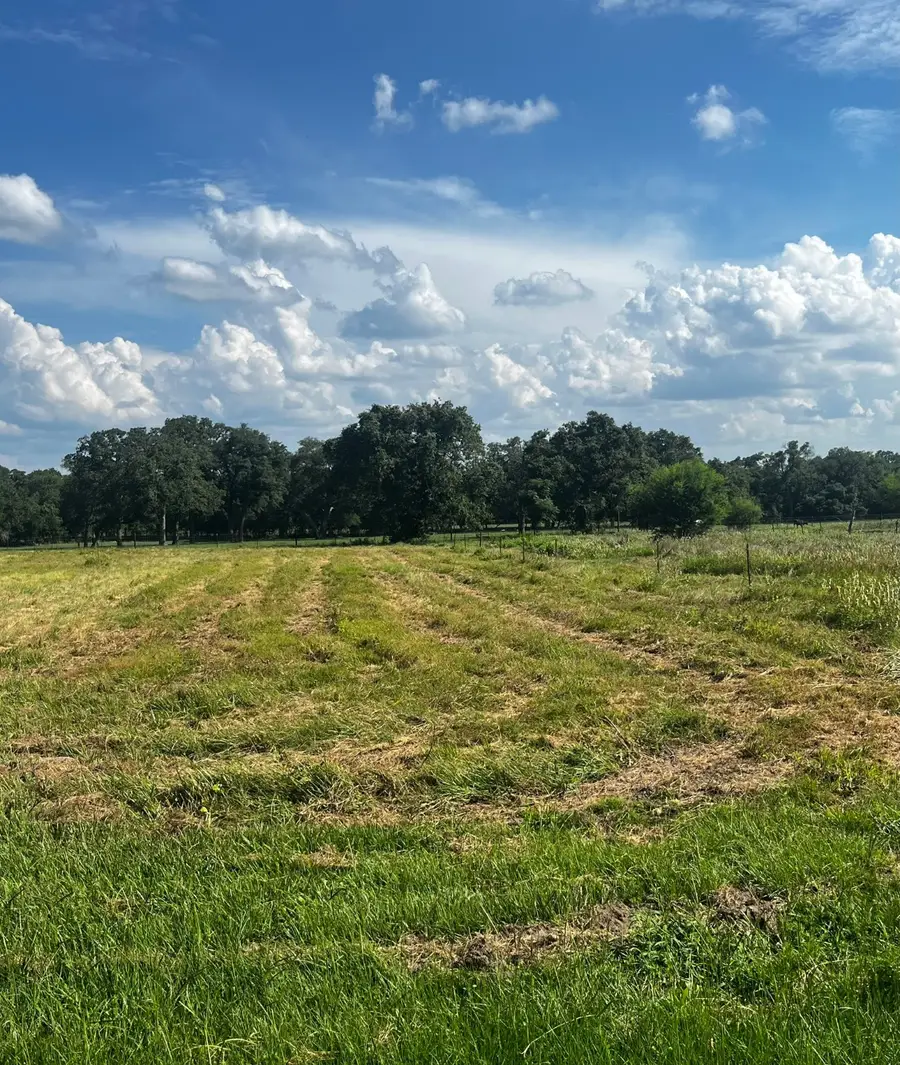 1134 J A Green St, Schulenburg, TX 78956 - Image #2