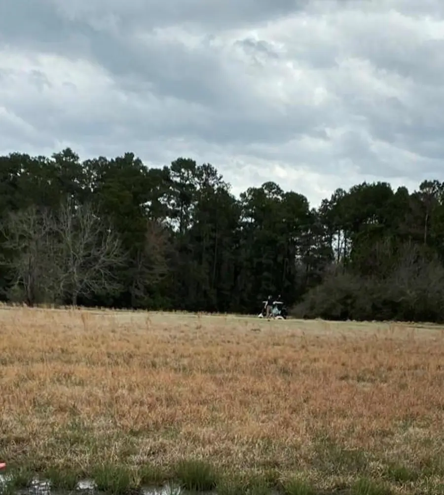 21 Westlake W, Trinity, TX 75862 - #3