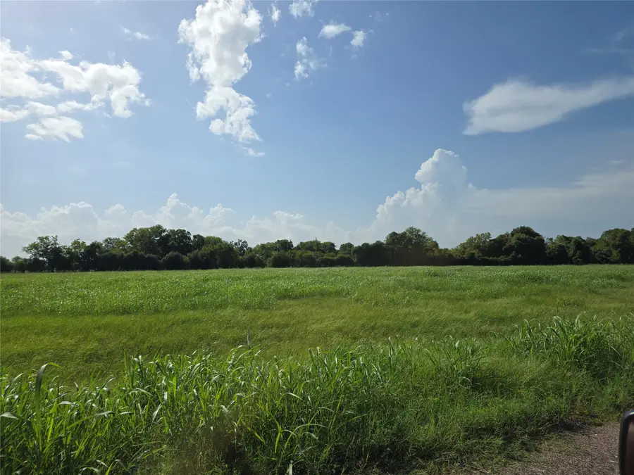 17118 Dewberry Lane, Rosharon, TX 77583 - #2