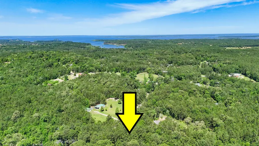 00 Grey Fox Ln, Brookeland, TX 75931 - #2