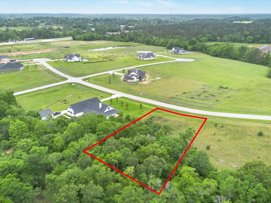 9601 Cedar Creek Lane, Plantersville, TX 77363 - #2