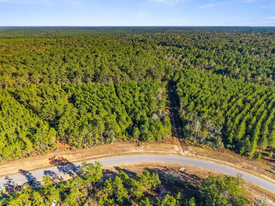 12696 Oak Barrel Road, Willis, TX 77378 - Image #2