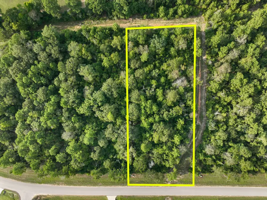 15824 Republic Ranch Road N, Willis, TX 77378 - #2