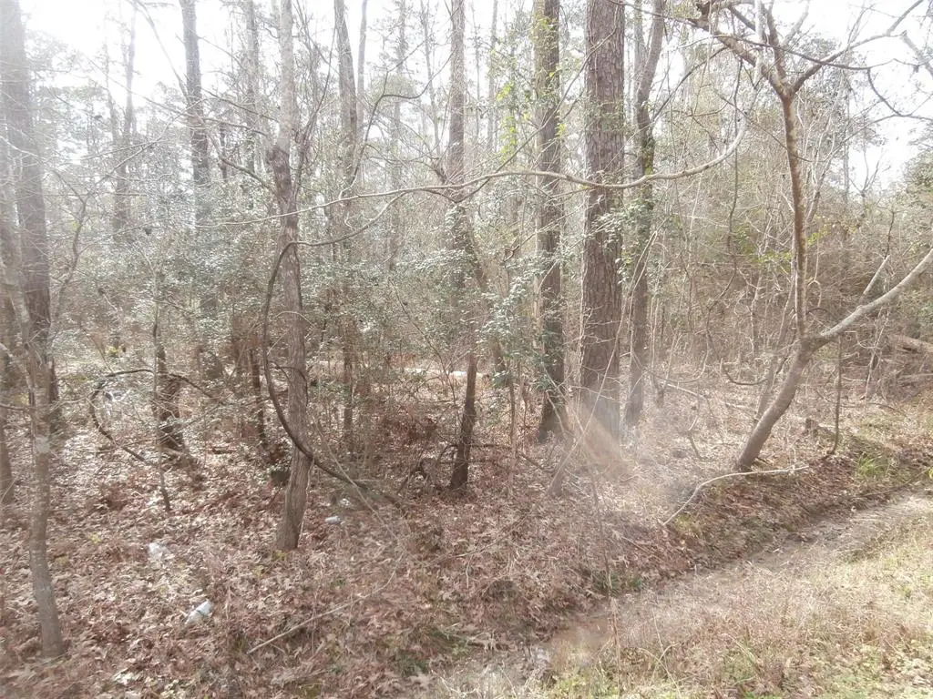 00 Glenbrook Street, Beaumont, TX 77713 - Image #1