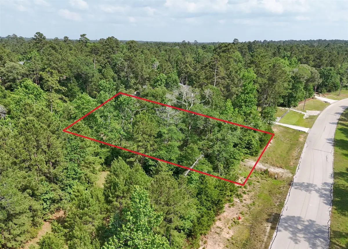 192 Inscription Lane, Huntsville, TX 77340 - #1