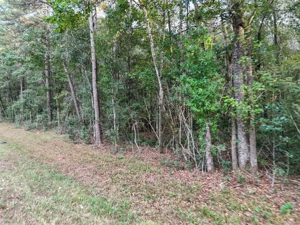 0000 Tbd Fm 1725, Cleveland, TX 77328 - Image #1