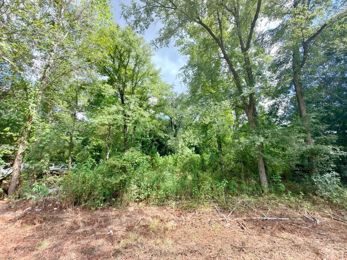 10839 River Dr, Southeast Montgomery, TX 77385 - #1