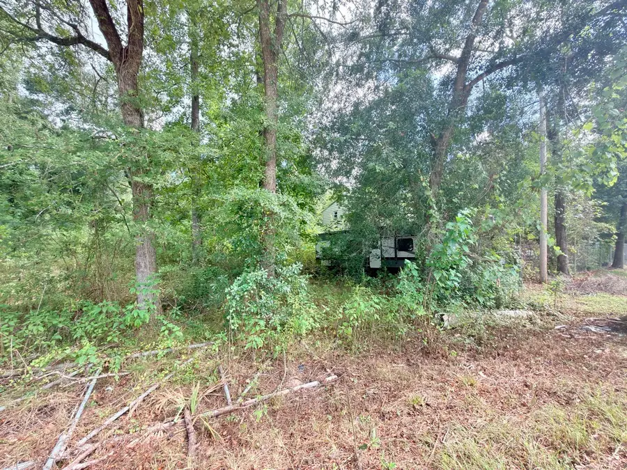 10839 River Dr, Southeast Montgomery, TX 77385 - #3