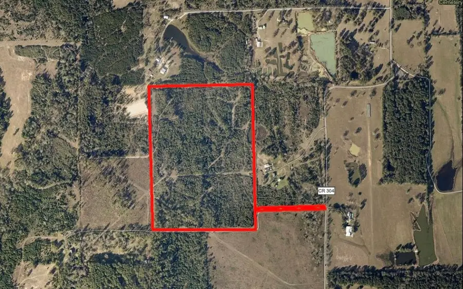 TBD County Road 304, Navasota, TX 77868 - Image #2