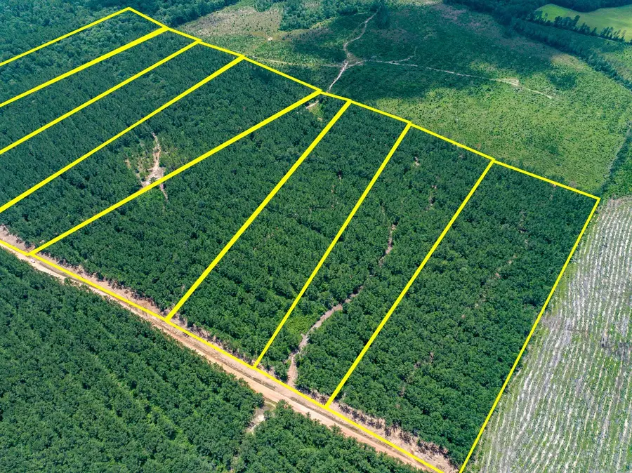 6 Benny Griffin Road, Livingston, TX 77351 - Image #3