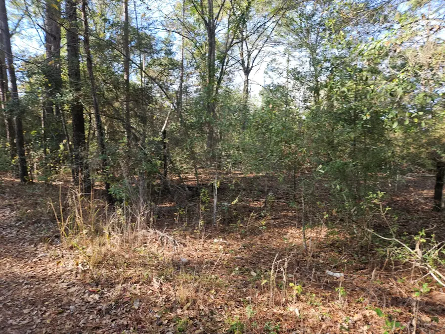 0001 Pinecone Lane, Plantersville, TX 77363 - Image #3