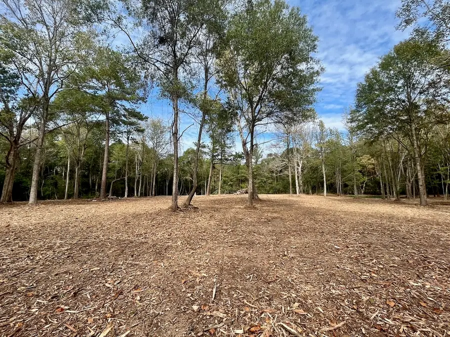 10690 Waukegan Road, Conroe, TX 77306 - Image #3