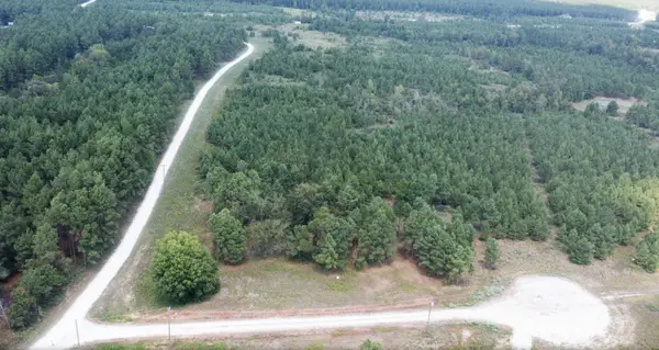 TBD Hunt Ct, Lovelady, TX 75851