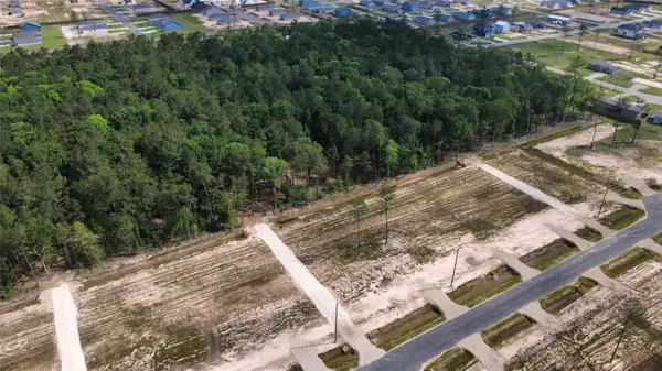 18361 Bunsen Drive, Conroe, TX 77306