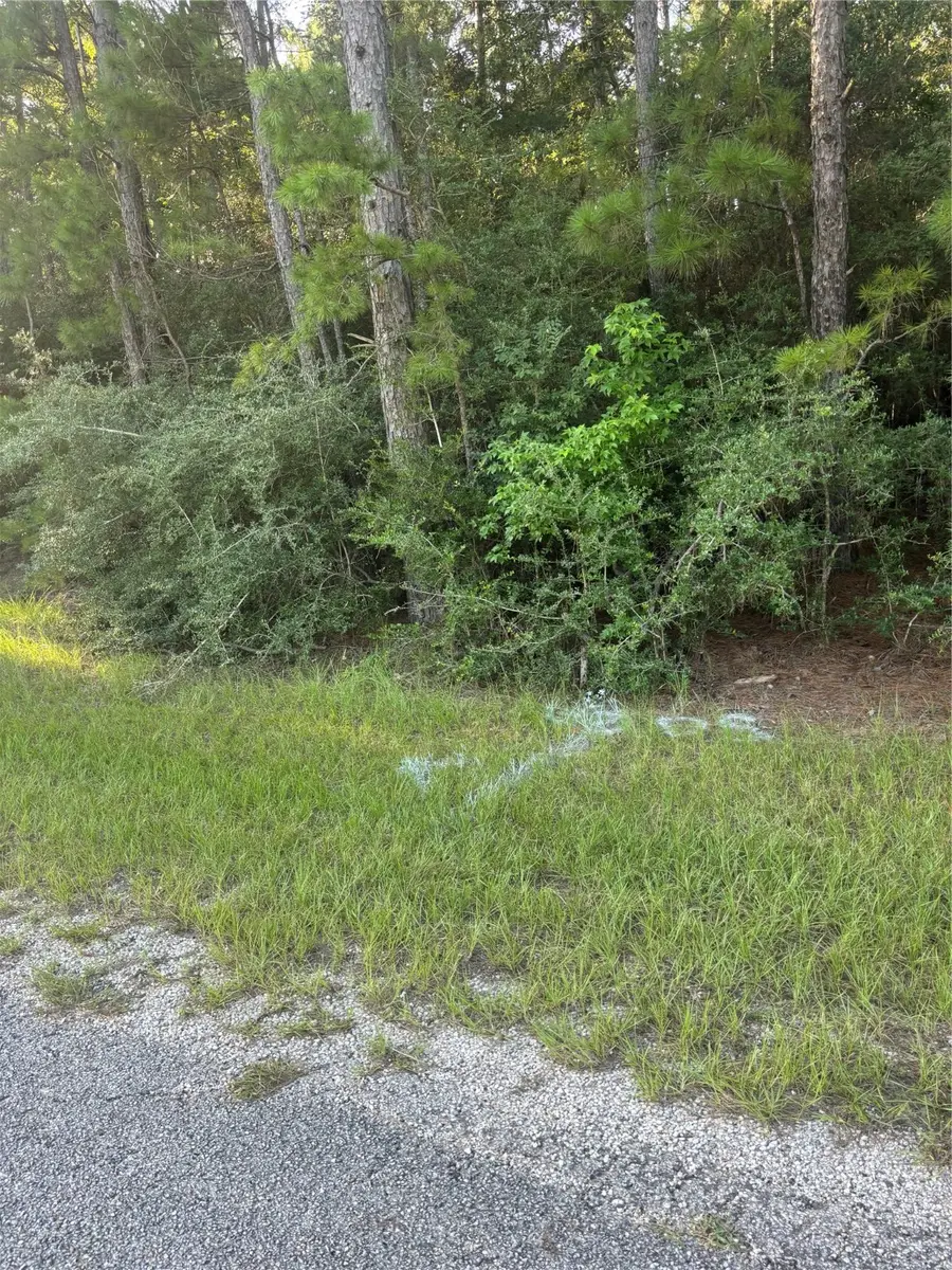 TBD Willow Creek, Huntsville, TX 77340 - Image #3