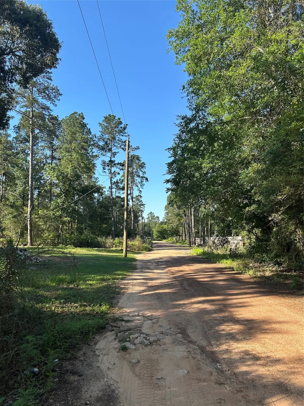 TBD White Oak Drive, Plantersville, TX 77363 - #1