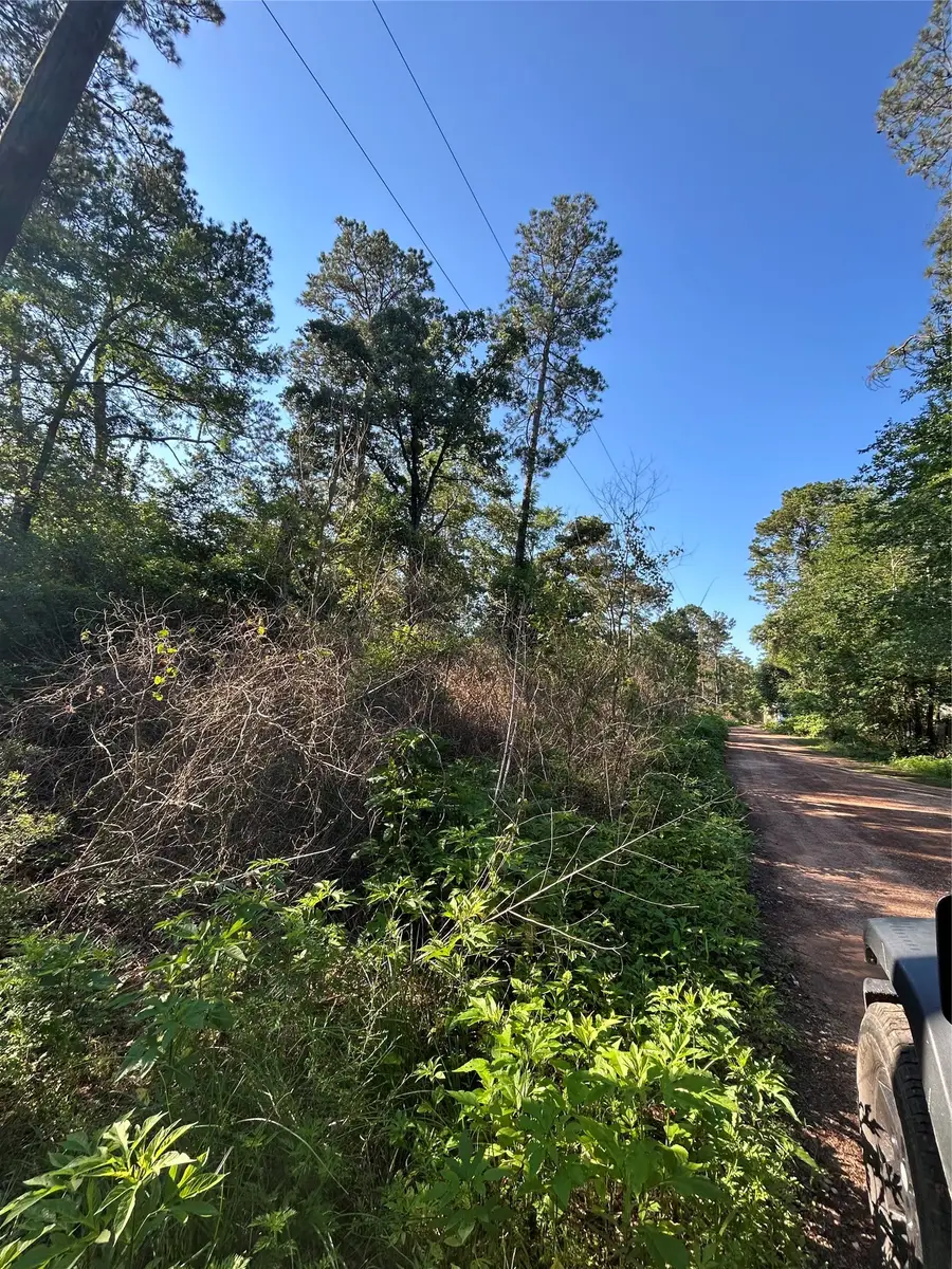 TBD White Oak Drive, Plantersville, TX 77363 - #3