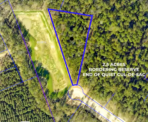 11707 Wishing Star Court, Willis, TX 77378