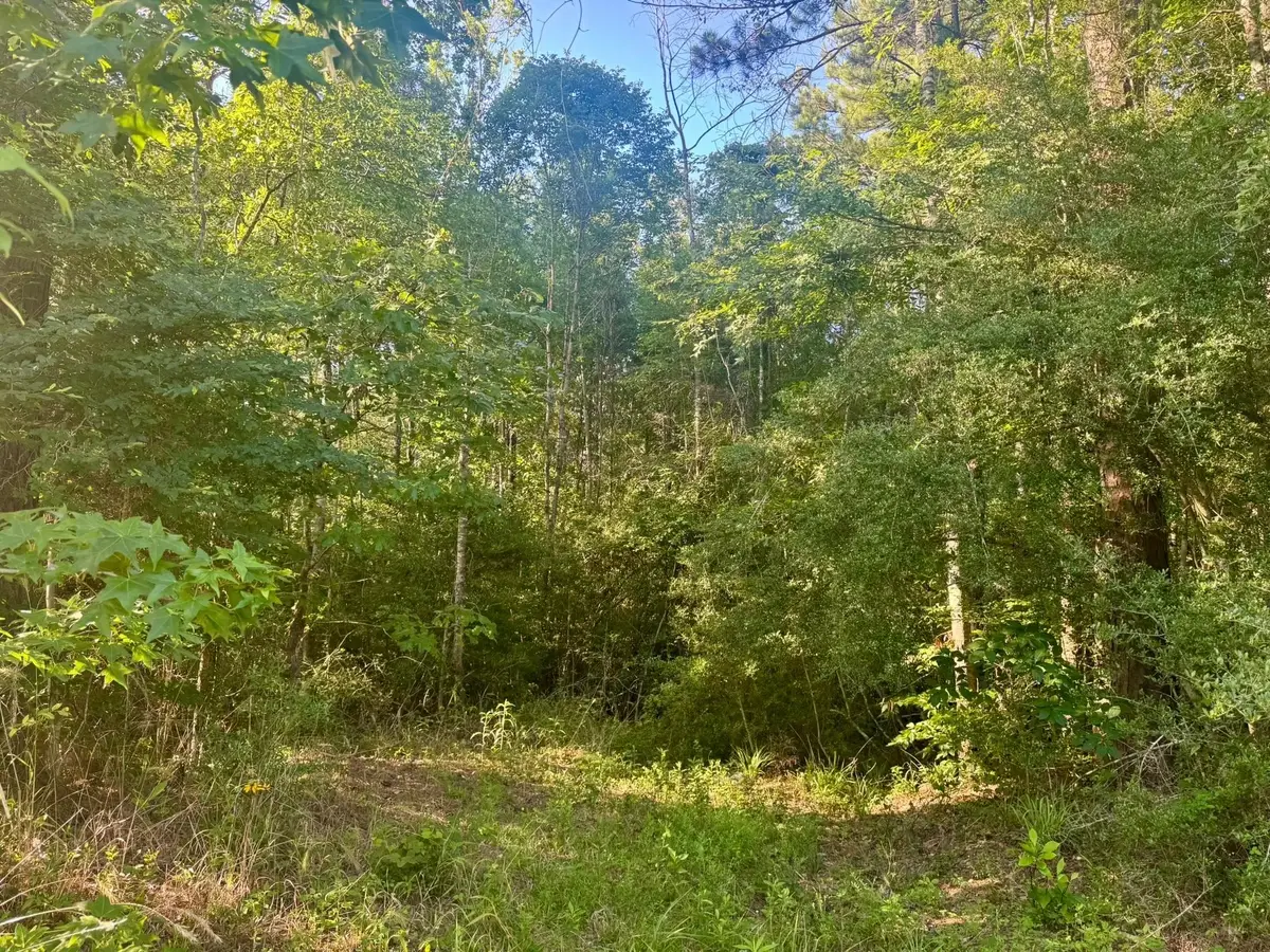 TBD County Road 1039, Burkeville, TX 75932 - #1