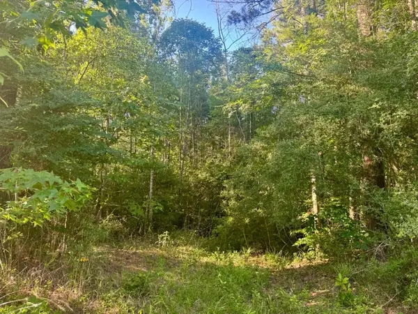 TBD County Road 1039, Burkeville, TX 75932
