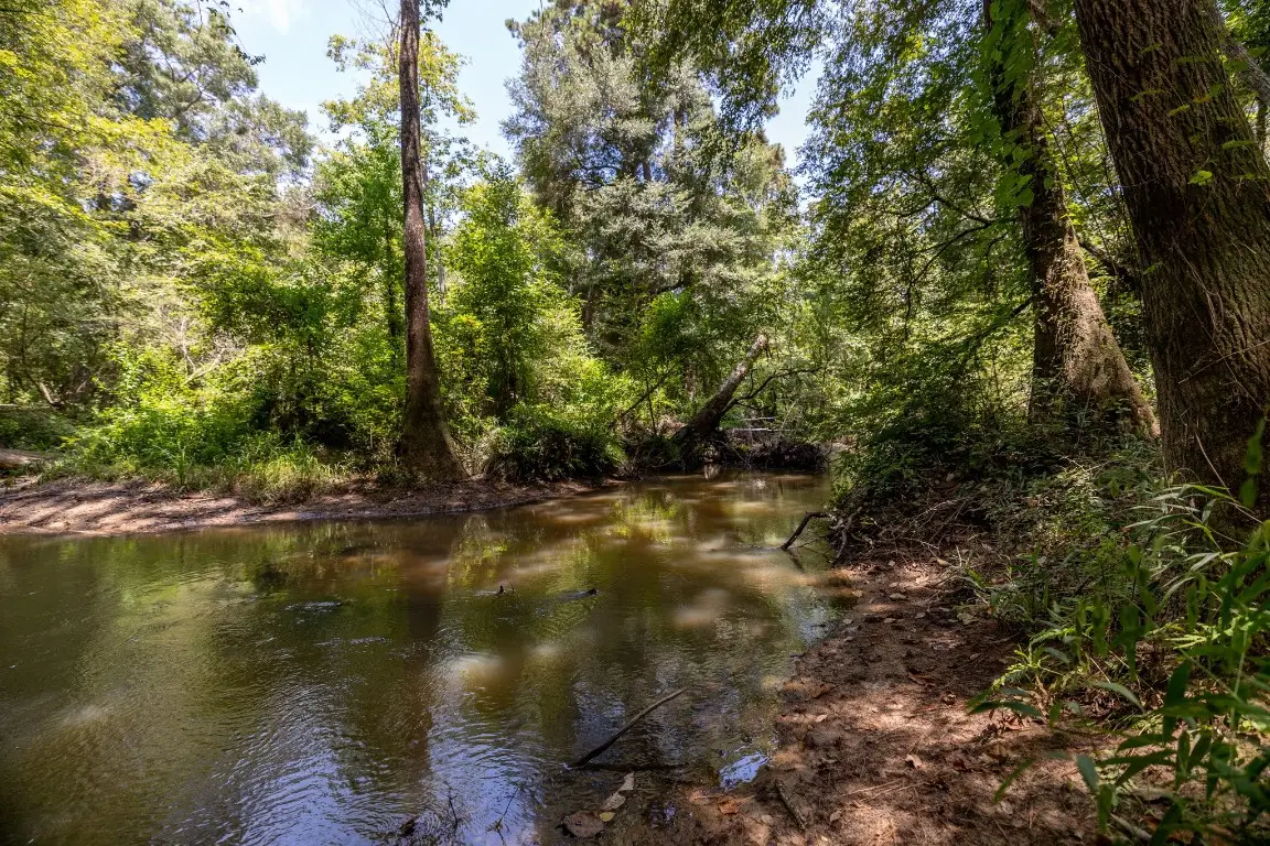 1255 Lee Turner Road Road, Cleveland, TX 77328 - #1