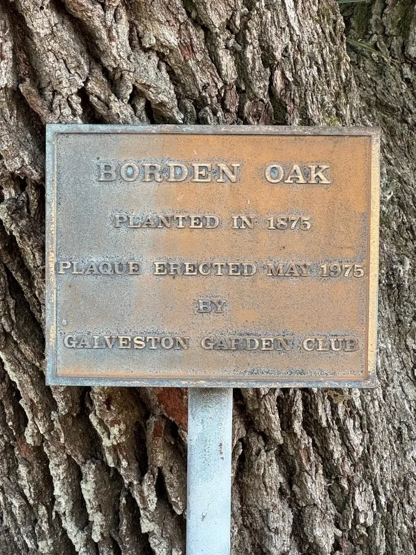 3503 Avenue K, Galveston, TX 77550 - #2