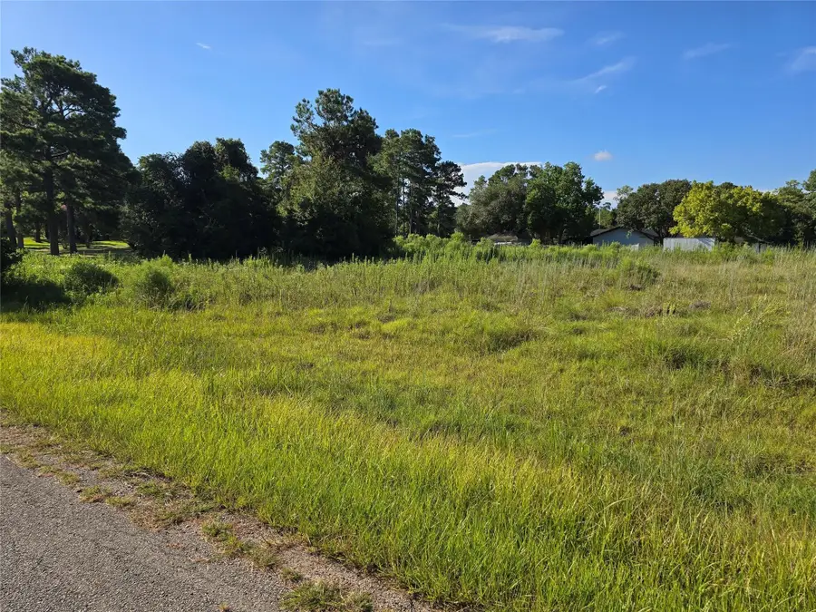 Lot 9 Lewis Creek Circle, Willis, TX 77318 - Image #2