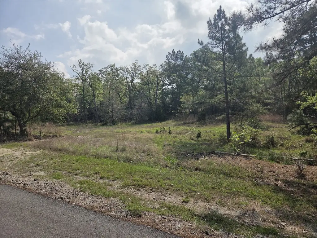 2.58 Acres Oakdale Drive, Huntsville, TX 77320 - #1