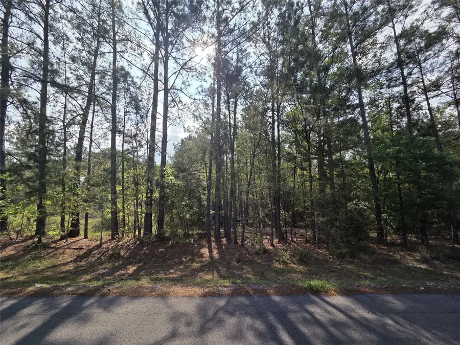 2.58 Acres Oakdale Drive, Huntsville, TX 77320 - #3