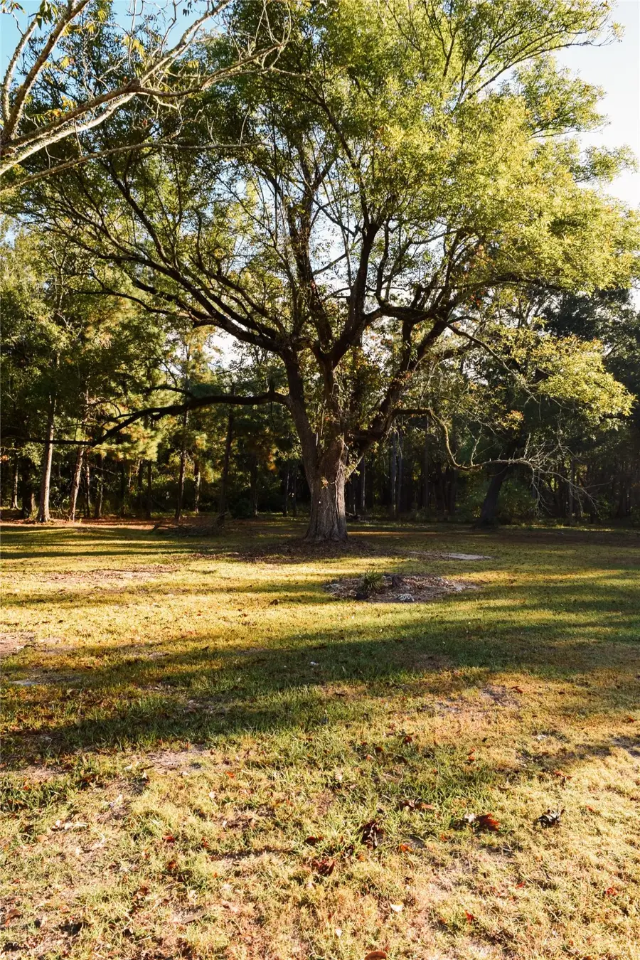 6304 Fm 563, Wallisville, TX 77597 - Image #3