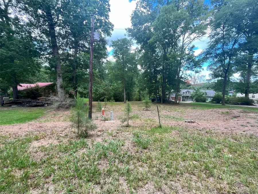 TBD Little Creek Drive, Coldspring, TX 77331 - Image #3