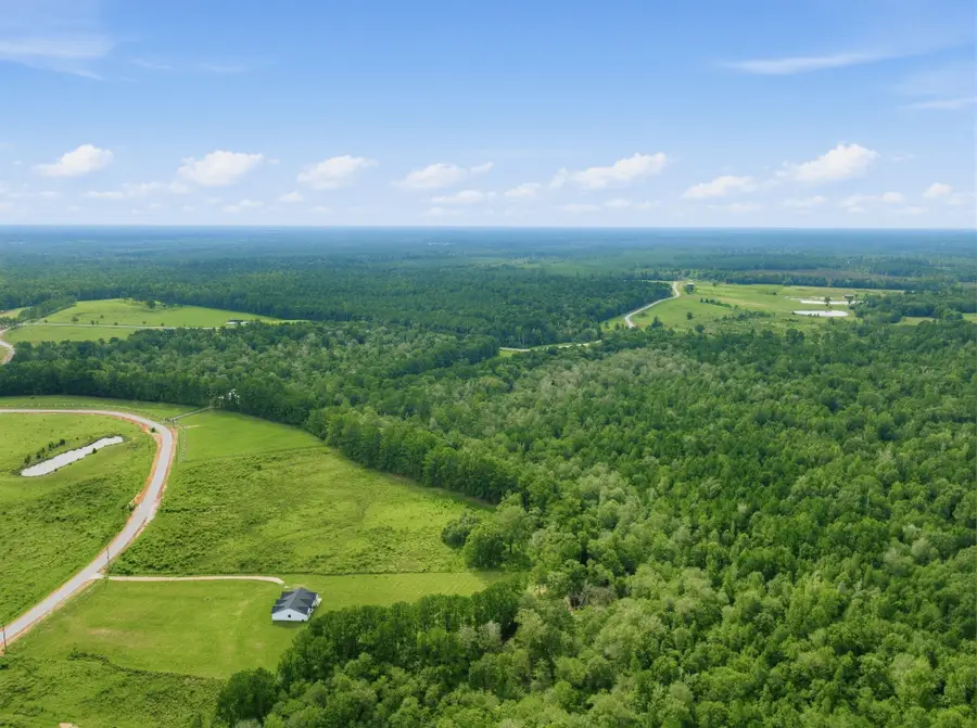 S6508 Lakeland Ranch Section 3 Blk 1 Lot 124, Hillister, TX 77624 - #3