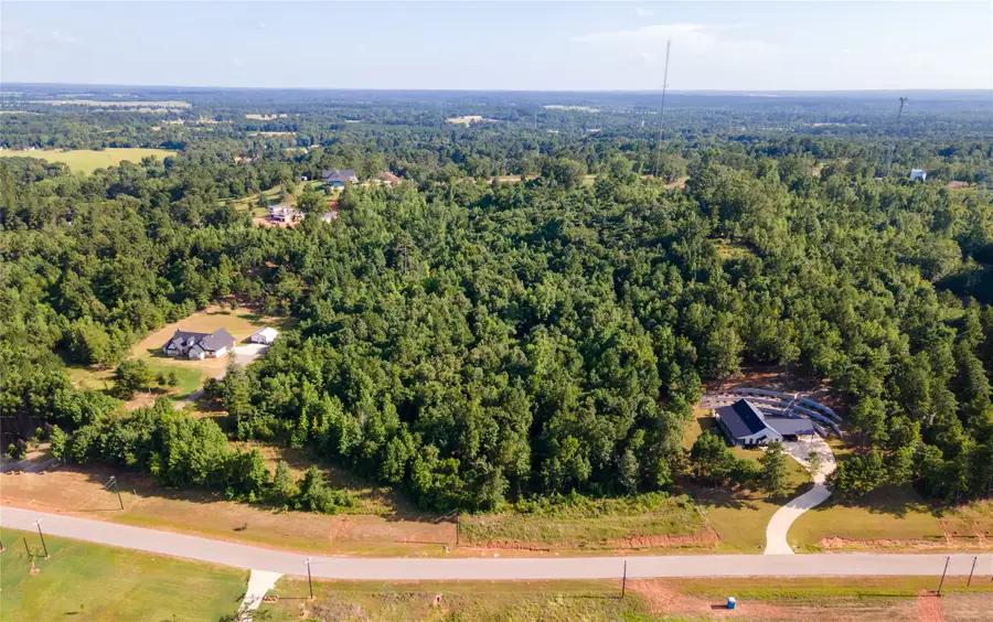 16911 Ridgeline Loop, Winona, TX 75792 - #3