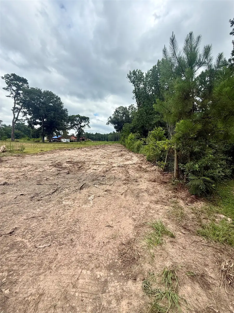 0 Dewberry Lane, Conroe, TX 77302 - #2