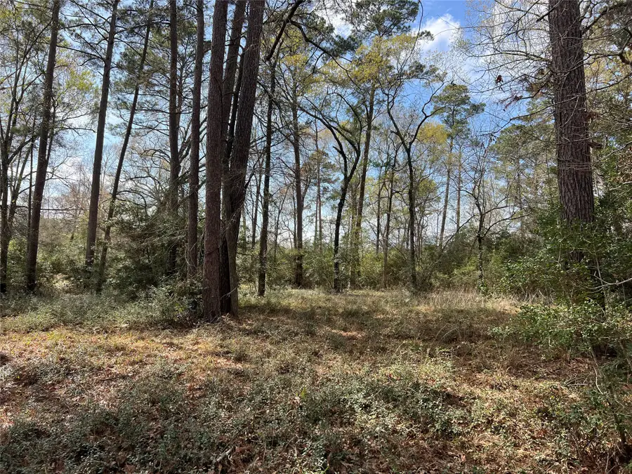 TBD 350 North, Livingston, TX 77351 - #3