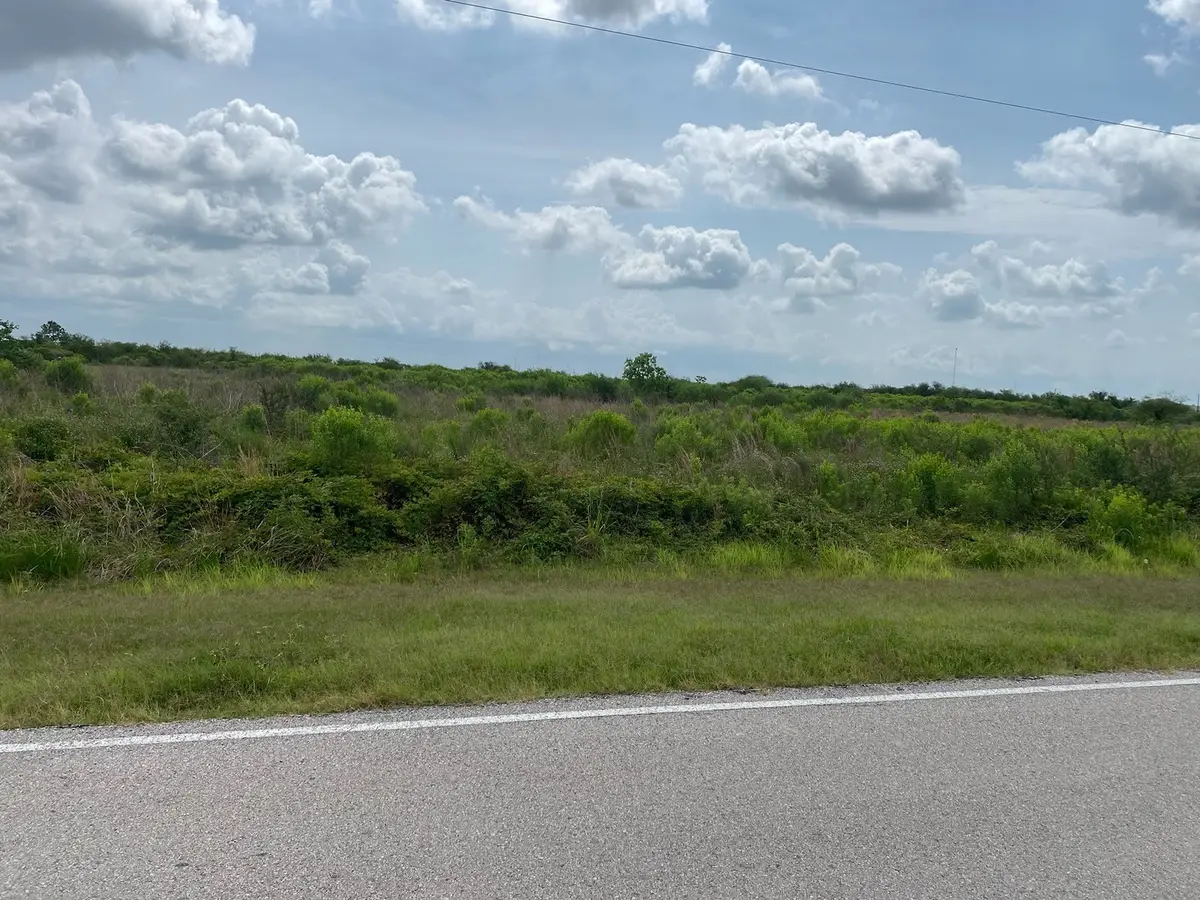 0 Dippel Road, Guy, TX 77444 - Image #1