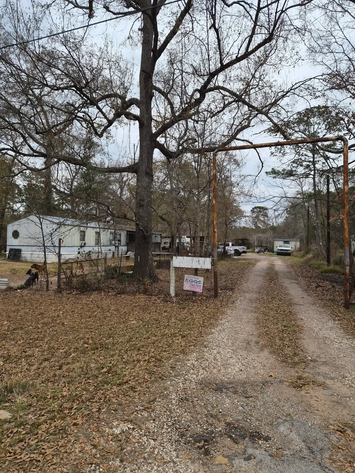 14185 Tower Glen Lane, Conroe, TX 77306 - #1