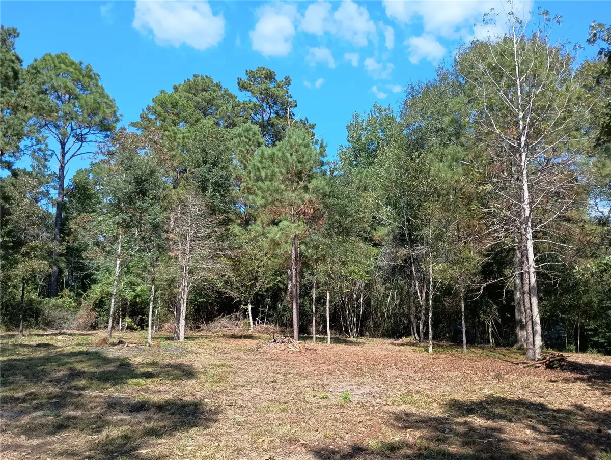 240 Sir Pellias Drive, Woodville, TX 75979 - Image #1