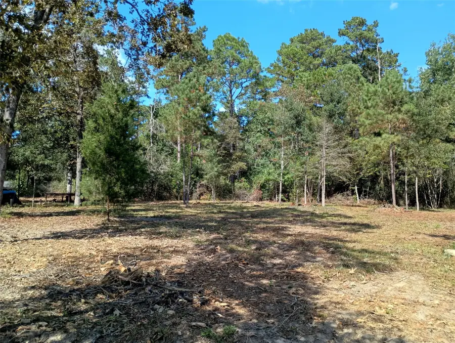 240 Sir Pellias Drive, Woodville, TX 75979 - Image #2