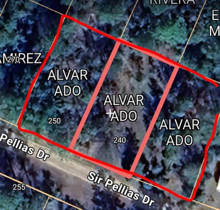 240 Sir Pellias Drive, Woodville, TX 75979 - Image #3