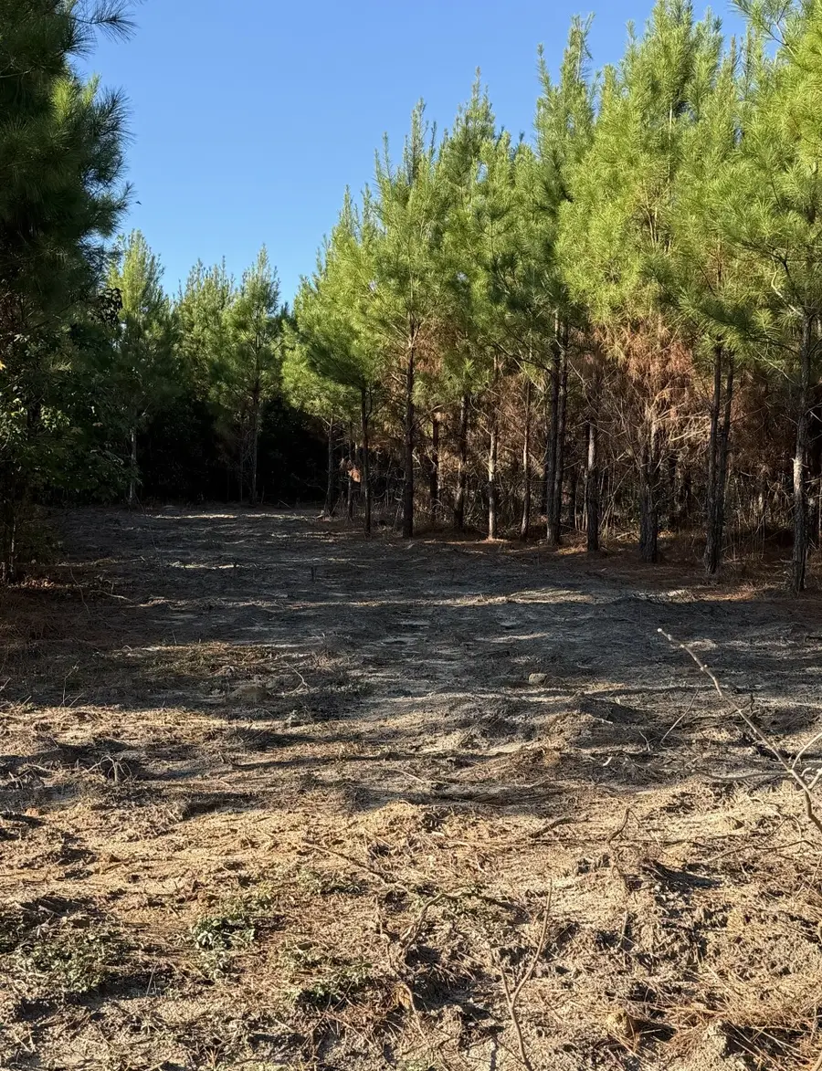 TBD Blackjack Road, Livingston, TX 77351 - Image #3