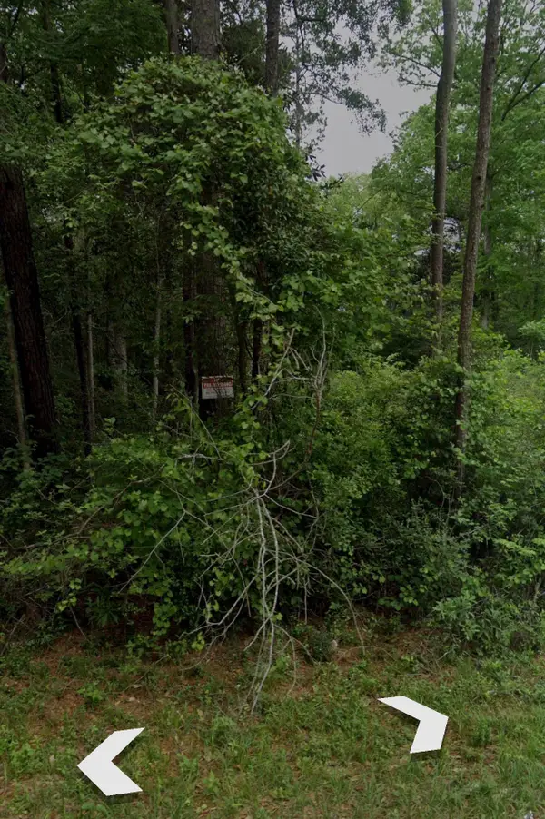 0 Bitter Creek Drive, Shepherd, TX 77371