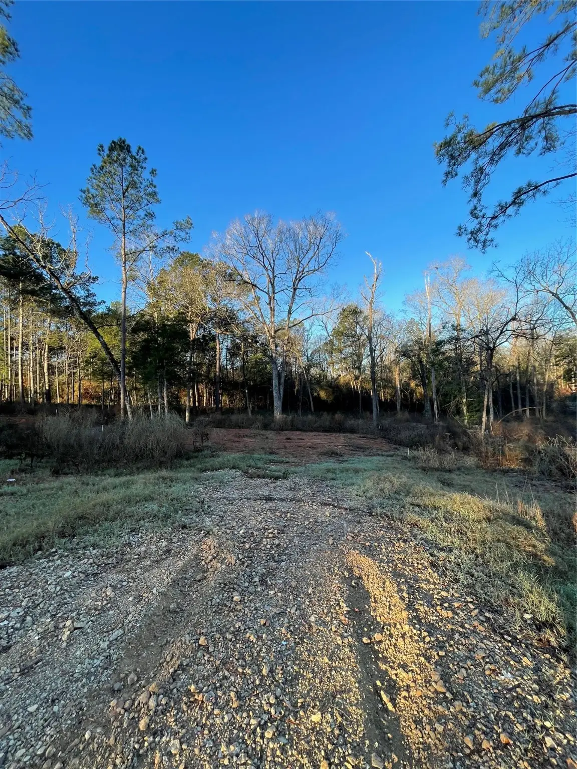 11351 Annie Creek Drive, Willis, TX 77378 - Image #1