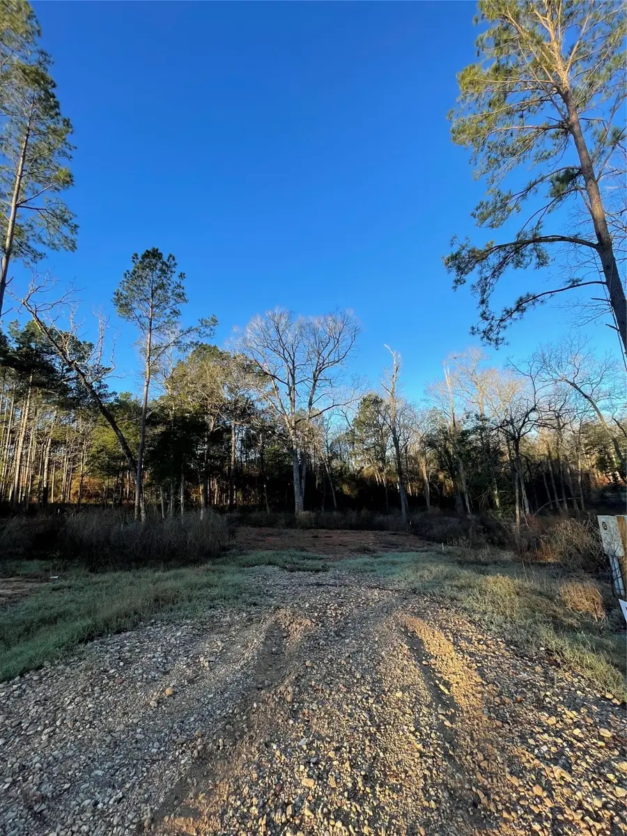 11351 Annie Creek Drive, Willis, TX 77378 - Image #3