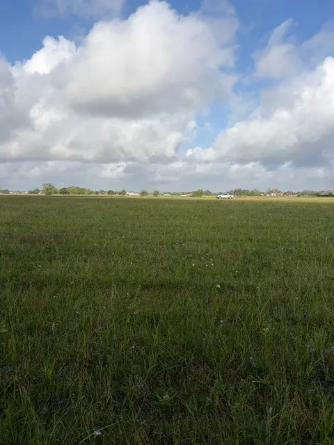 000 Brahman Trail, Angleton, TX 77515 - #3