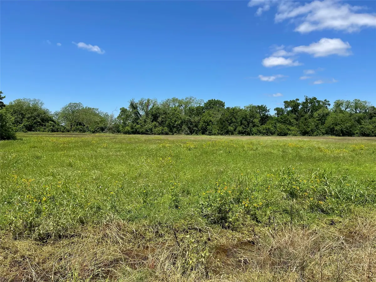 TBD County Road 245, Wharton, TX 77488 - Image #1