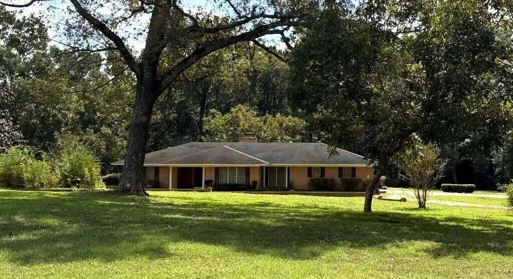 1206 Patroon Road, San Augustine, TX 75972 - #1