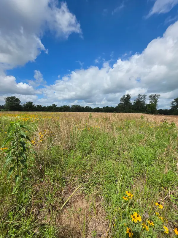 TBD LOT 13 County Road 201, Plantersville, TX 77363