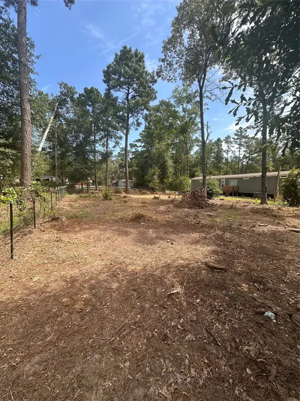 TBD Hoptree Lane, Plantersville, TX 77363